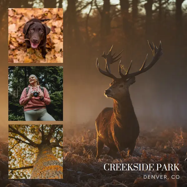 Explore our natural park this fall Brown Dark, Simple, Collage