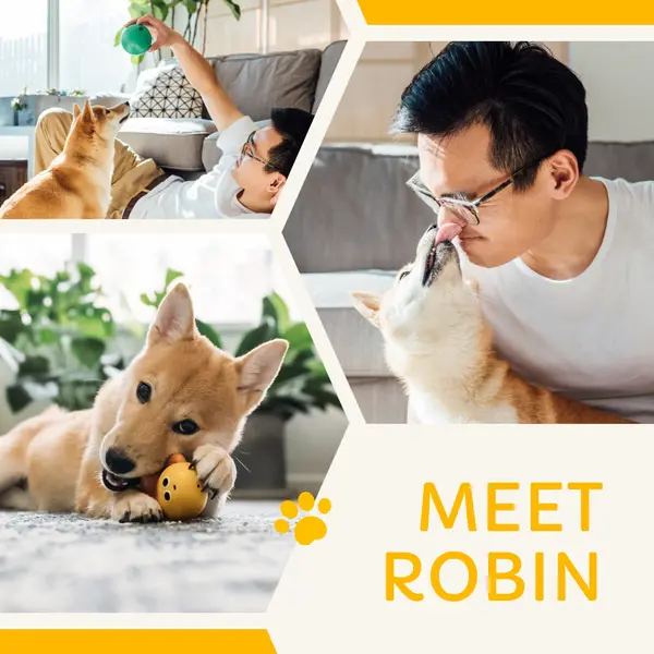 Meet my dog Robin Yellow Simple, Geometric, Collage