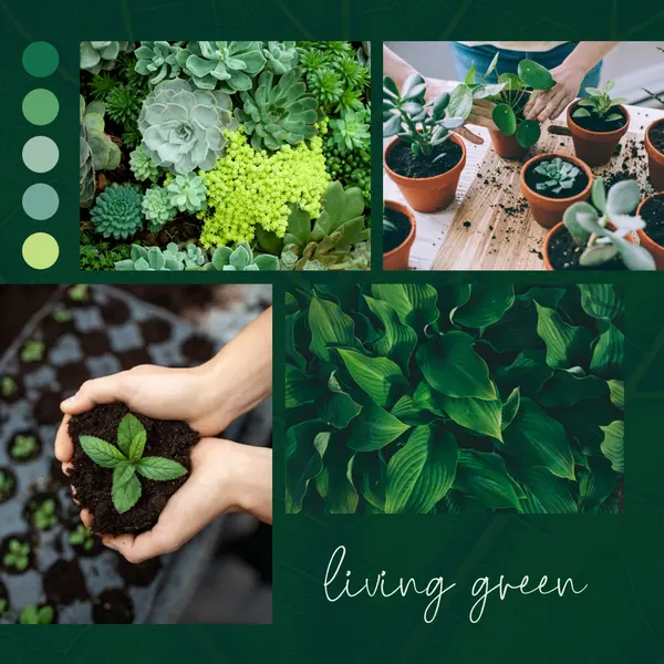 Green thumb living Green photographic, simple, collage, palette, handwriting, graphic