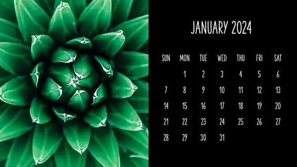 Succulents monthly calendar modern-simple