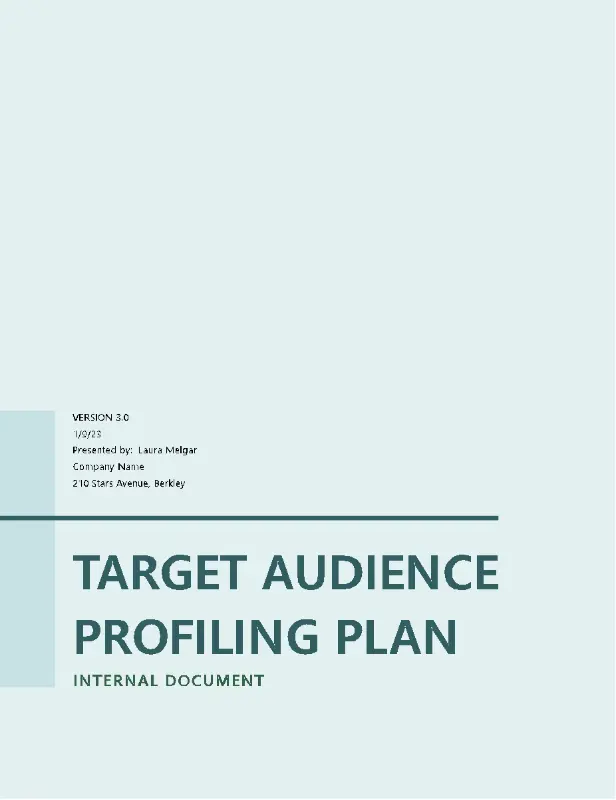 Target audience profiling plan blue modern simple