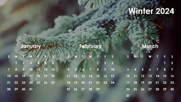 Seasons quarterly calendar modern-simple