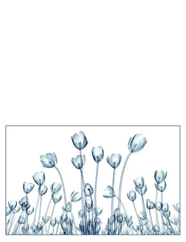 Floral visions greeting cards (5 cards, 1 per page) blue organic-simple