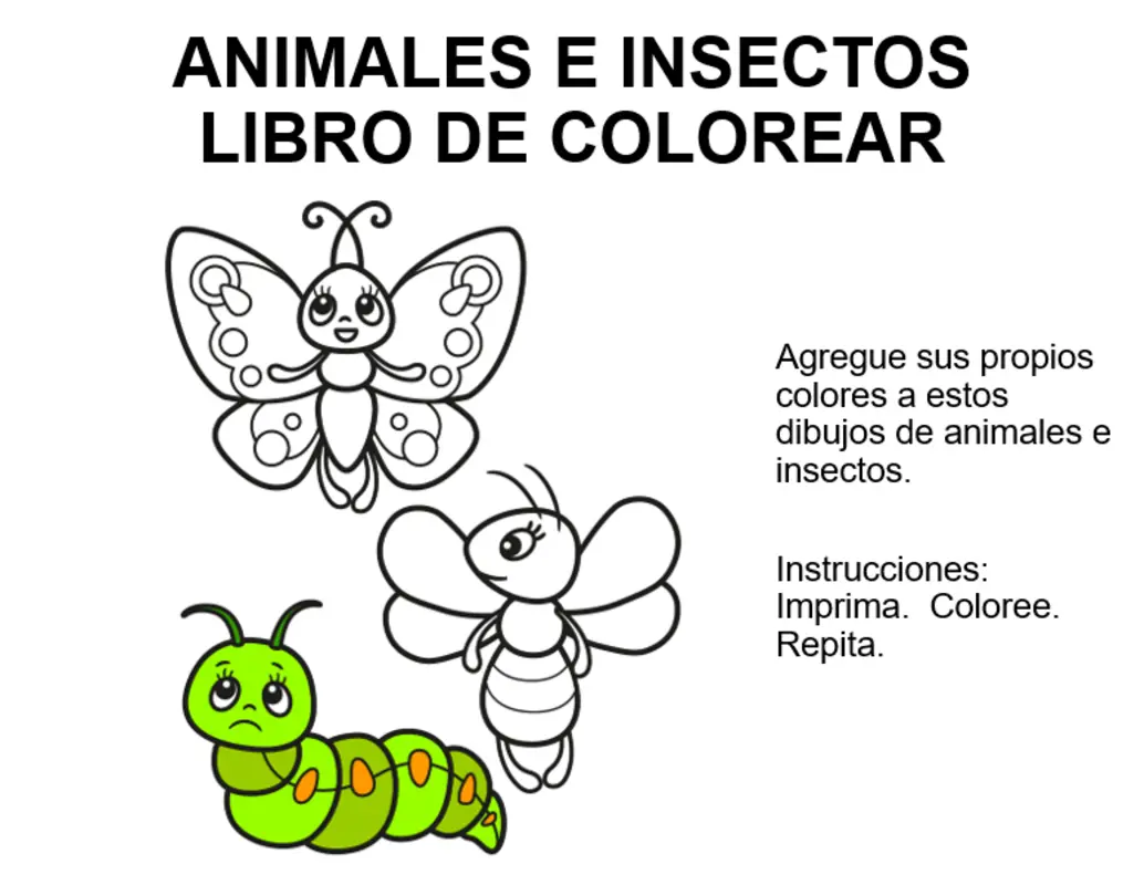 Libro para colorear animales y insectos whimsical color block