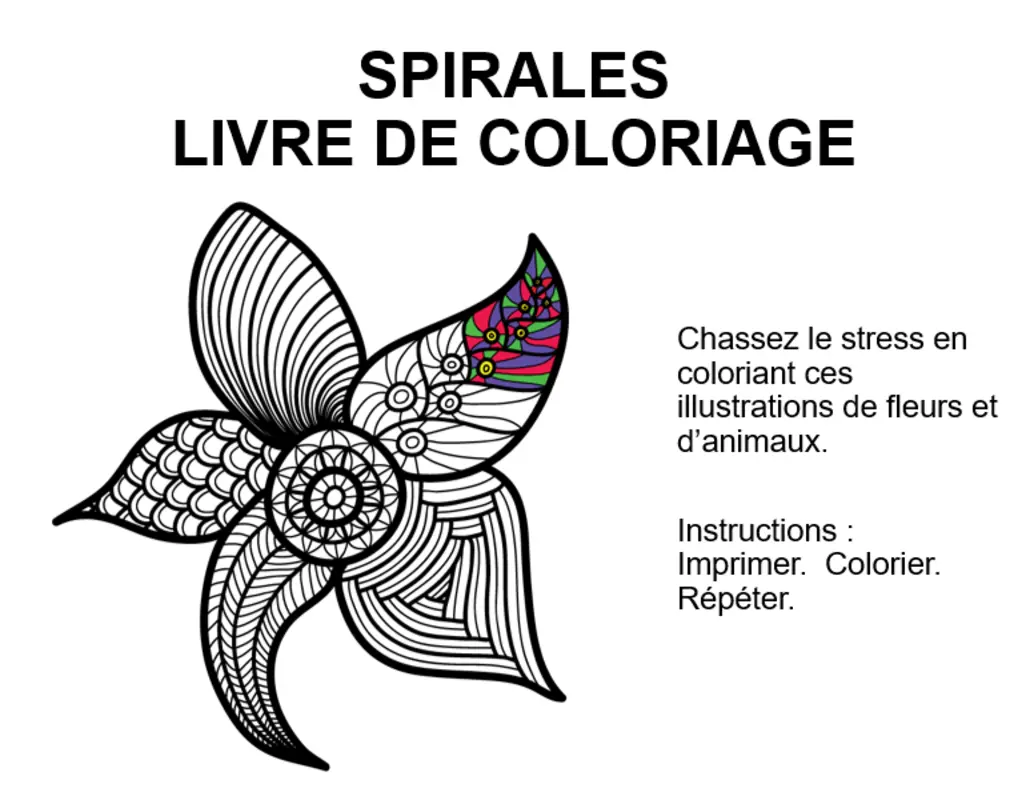 Album de coloriage Spirales organic boho