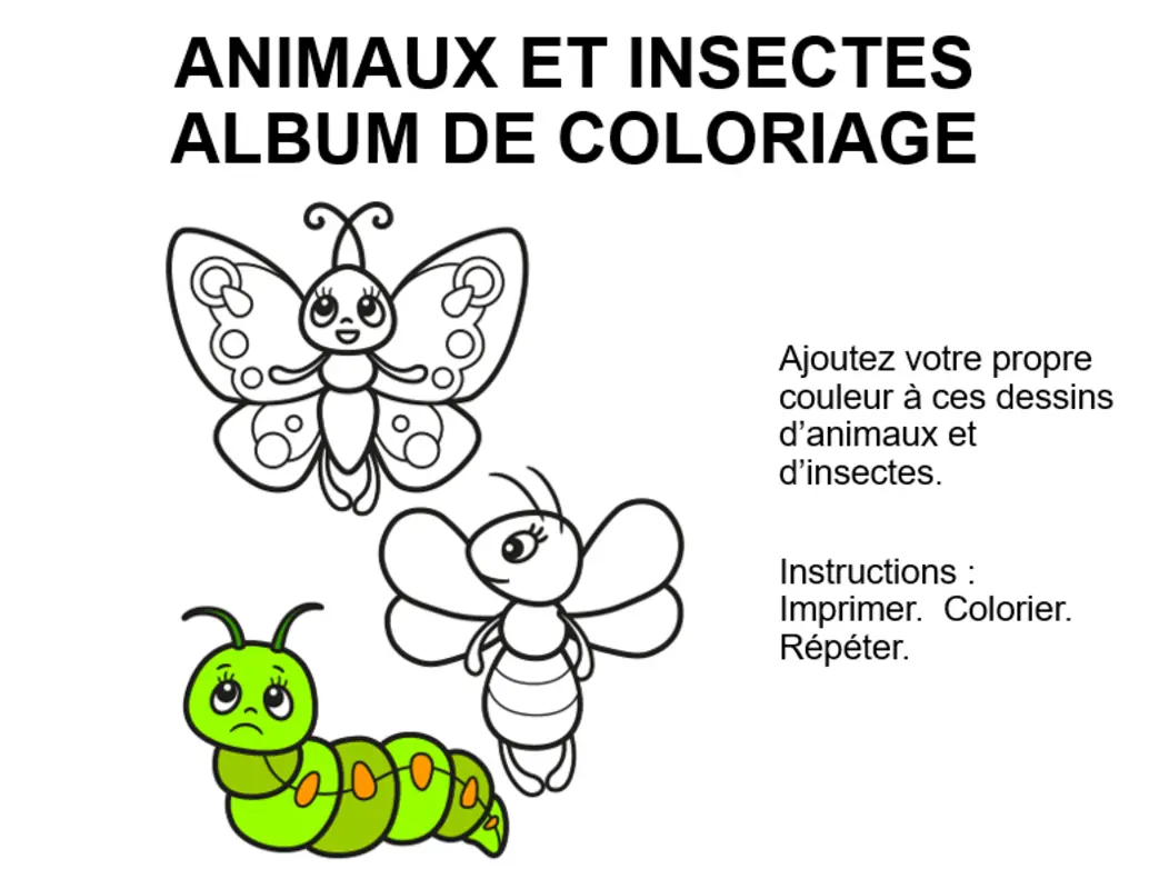 Album de coloriage sur les animaux et les insectes whimsical color block