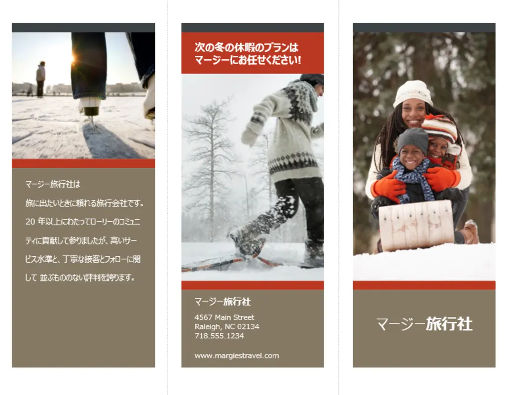 3 つ折りの旅行パンフレット (雪のデザイン) brown modern-simple