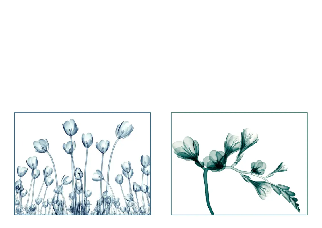 꽃 그림 인사말 카드(10개 카드, 페이지당 2개) blue organic-simple