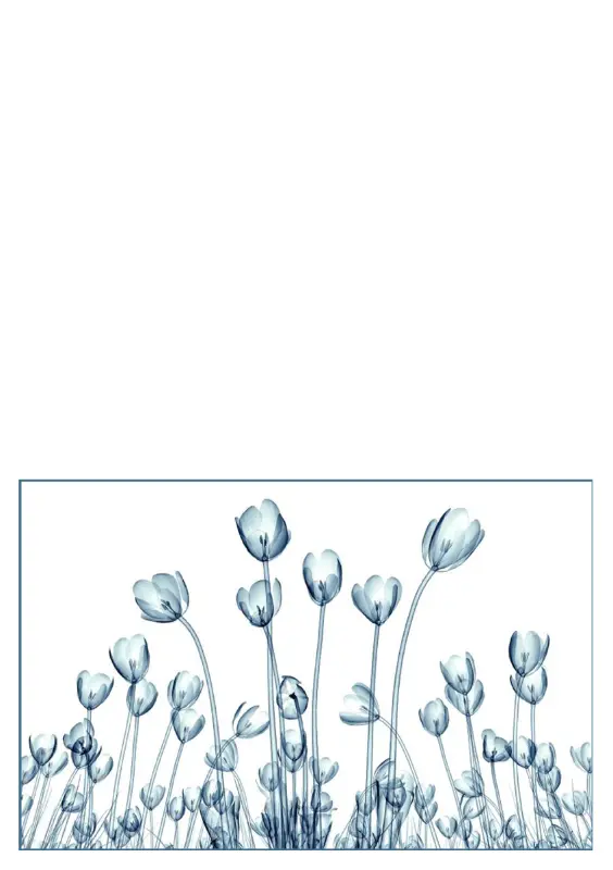 꽃 그림 인사말 카드(5개 카드, 페이지당 1개) blue organic-simple