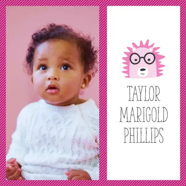 Fotomontasjealbum for babybilder pink whimsical color block