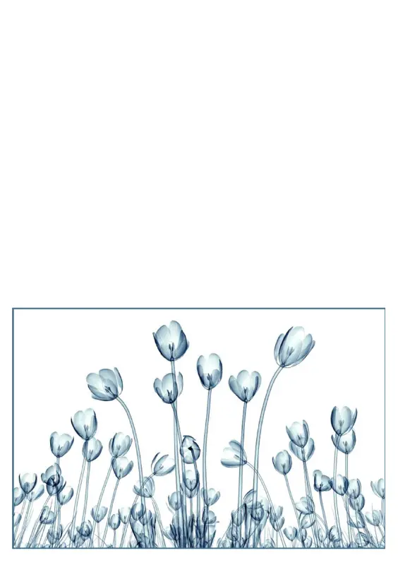 Gratulasjonskort med blomstermotiv (fem kort, ett per side) blue organic-simple