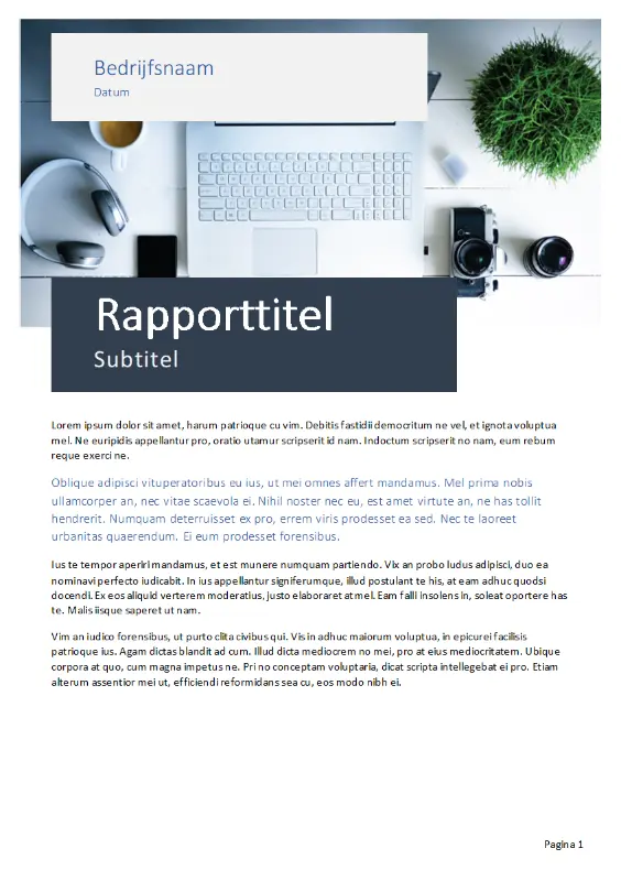 Rapport (thema Oorsprong) gray modern simple