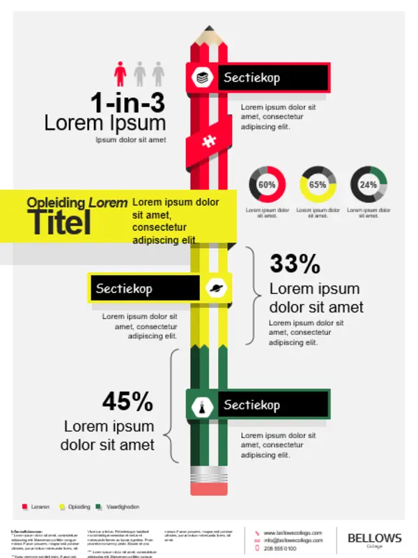 Infographics-poster voor het onderwijs red modern-bold