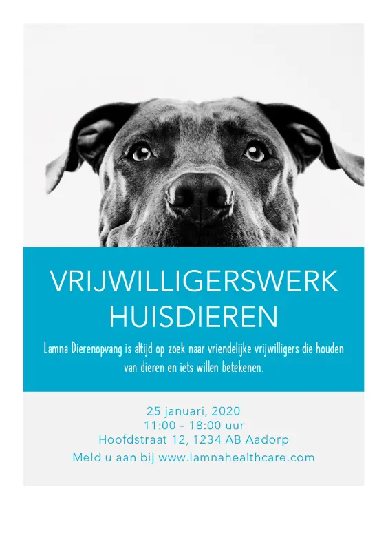 Flyer voor vrijwilligerswerk met dieren blue modern-simple