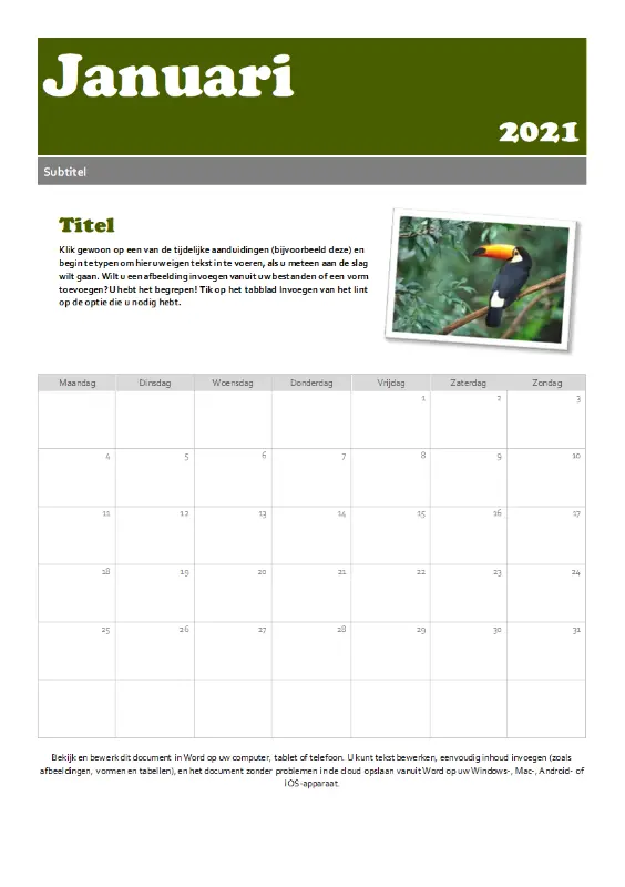 Kalender met momentopnamen green modern-simple