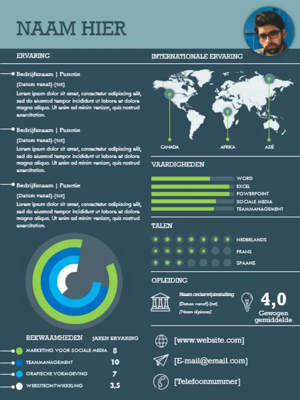Internationaal infographic CV blue modern simple