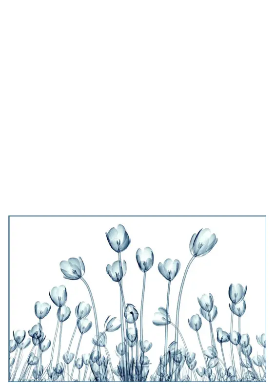Kartki okolicznościowe z motywem kwiatowym (5 kartek, 1 na stronę) blue organic-simple