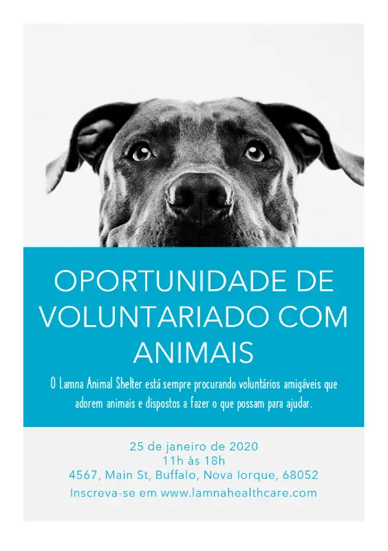 Folheto de oportunidade de voluntariado com animais de estimação blue modern-simple