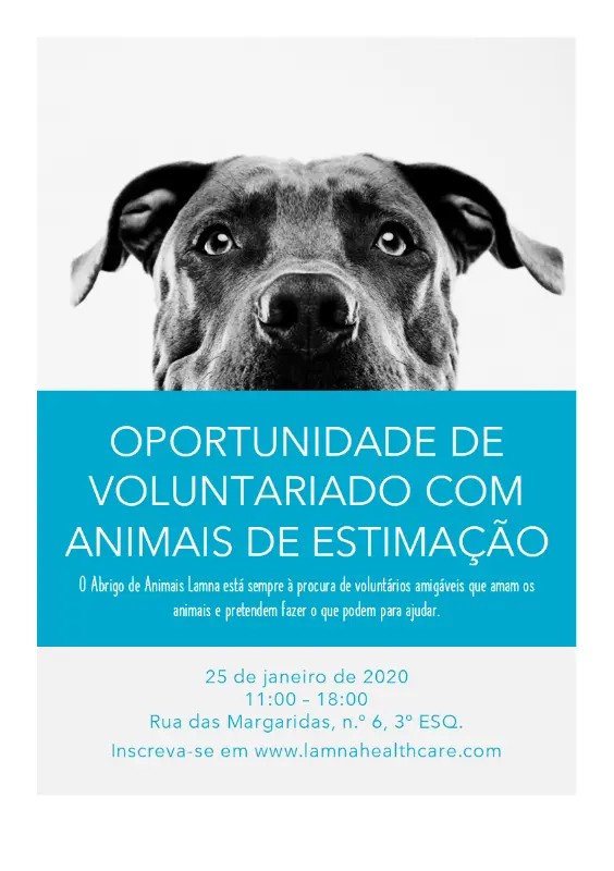 Panfleto para oportunidades de voluntariado com animais de estimação blue modern-simple