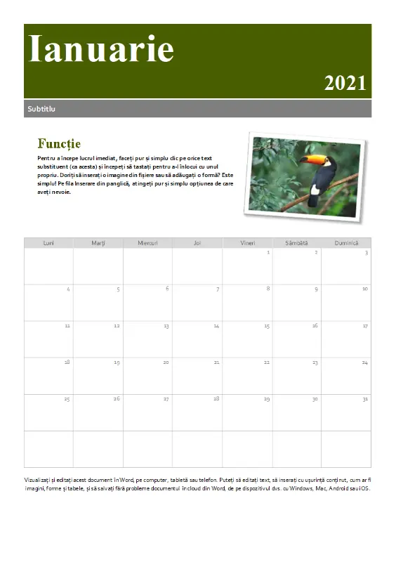 Calendar cu instantanee green modern-simple