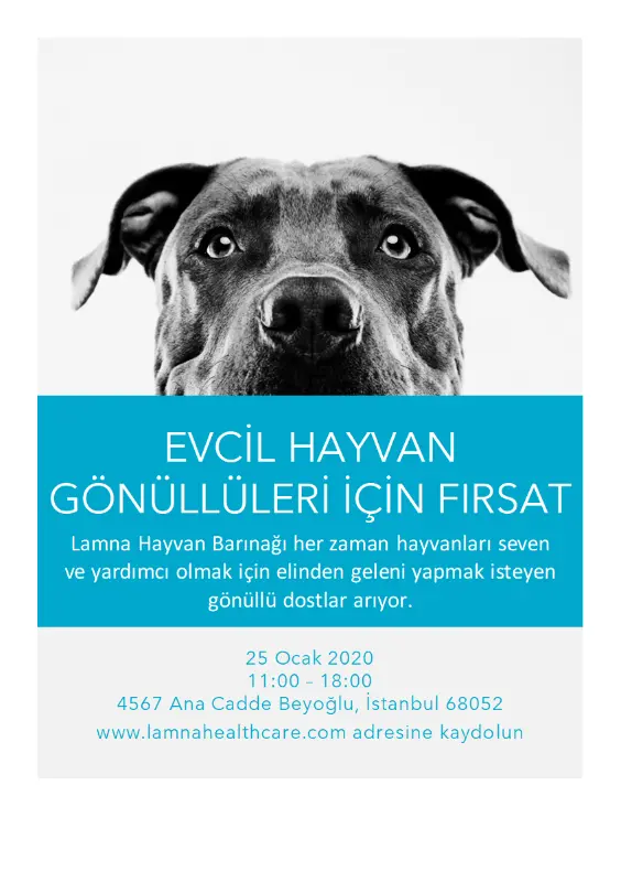 Evcil hayvan gönüllüleri için fırsat el ilanı blue modern-simple
