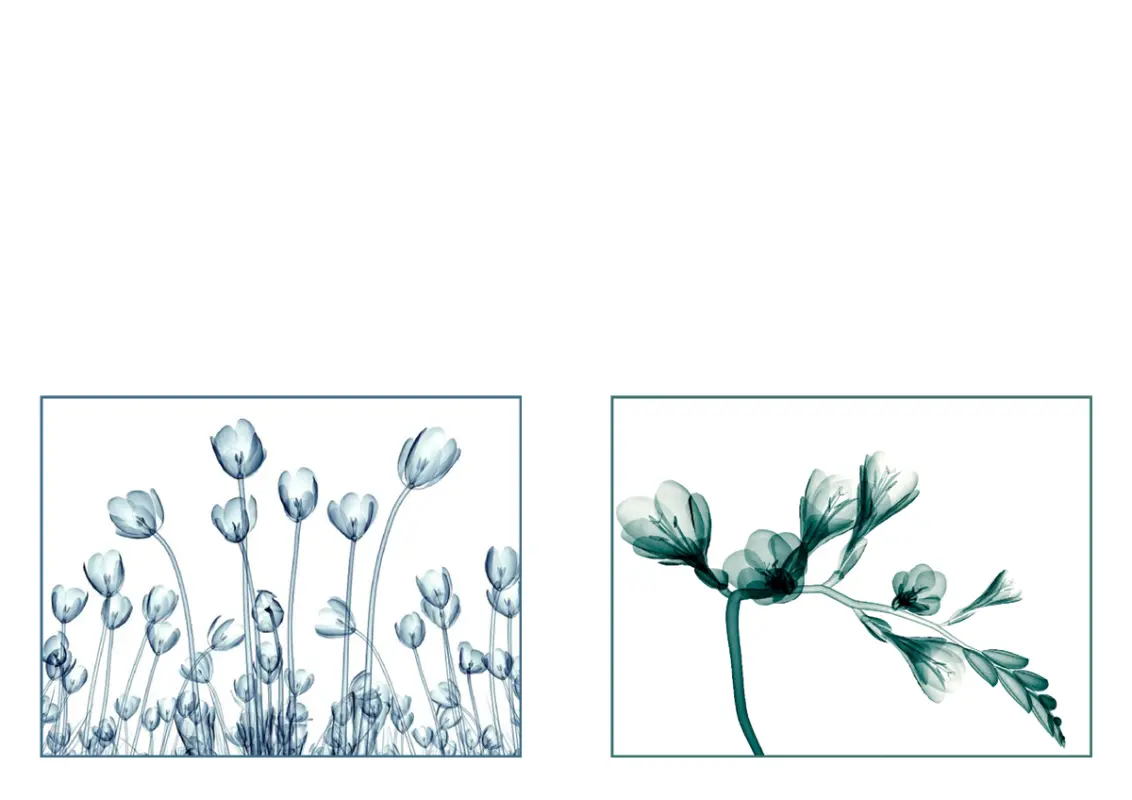 花卉贺卡（10 张，每页 2 张） blue organic-simple